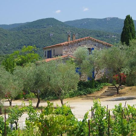 Casa Erbaggio Apartment Sartene  Exterior photo